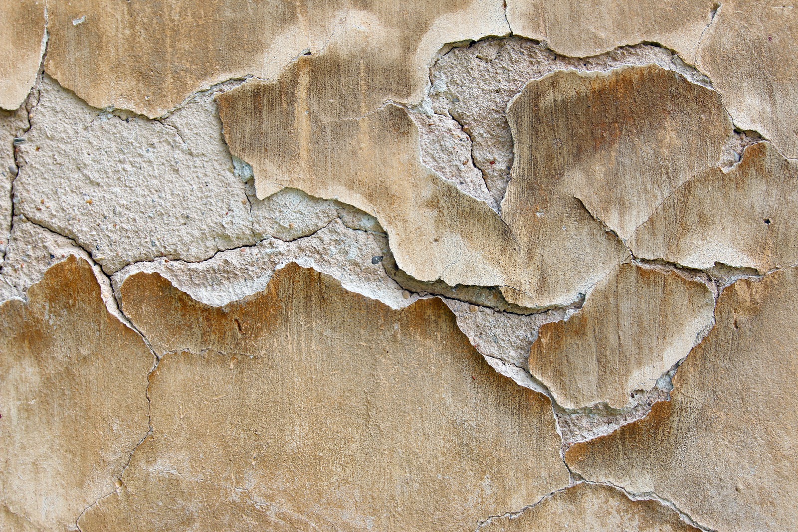 Stucco Damage Understanding and Preventing the Leading Causes