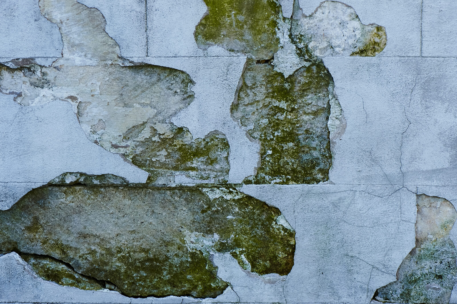 Stucco Remediation Common Mold Myths You Should Ignore